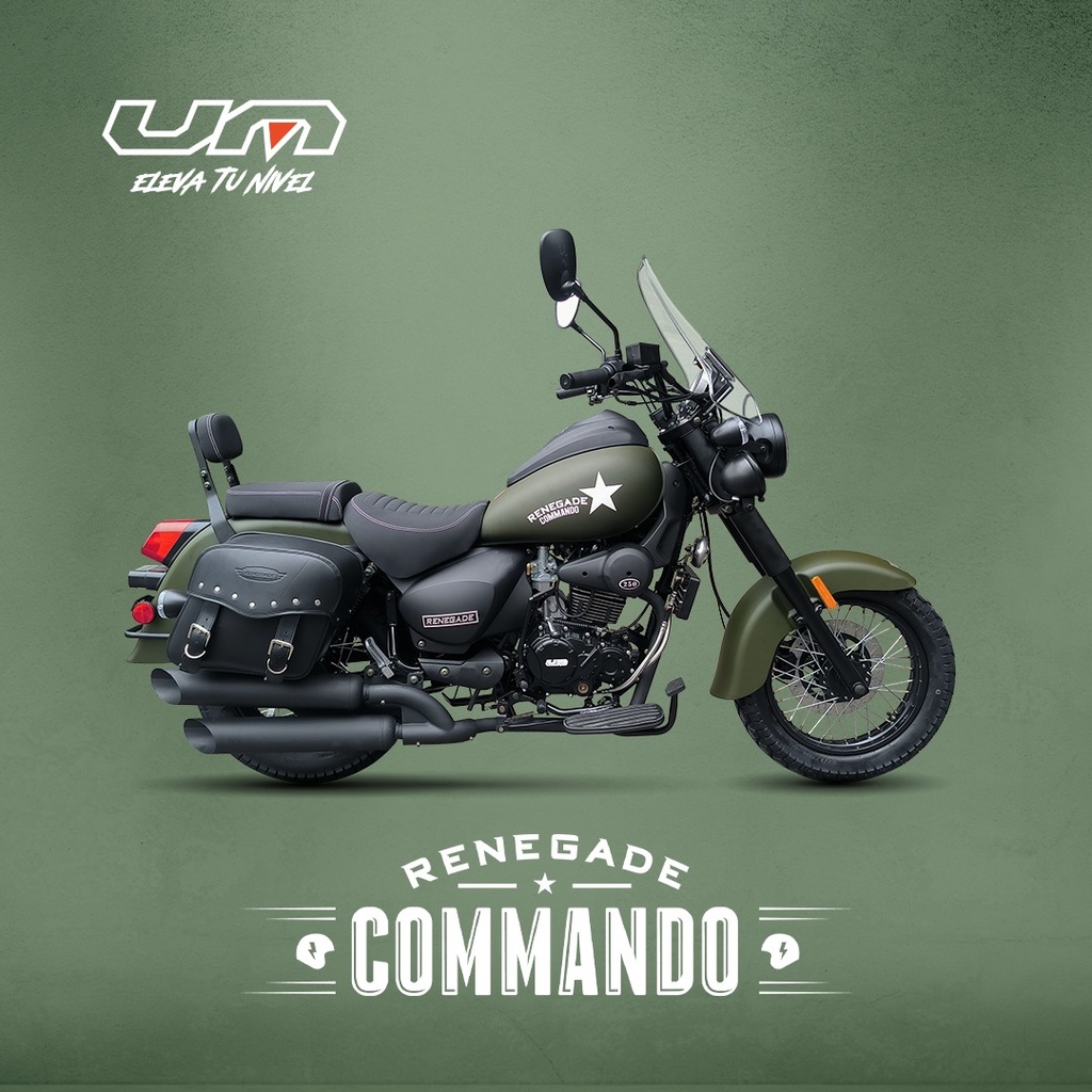 RENEGADE COMMANDO 250T